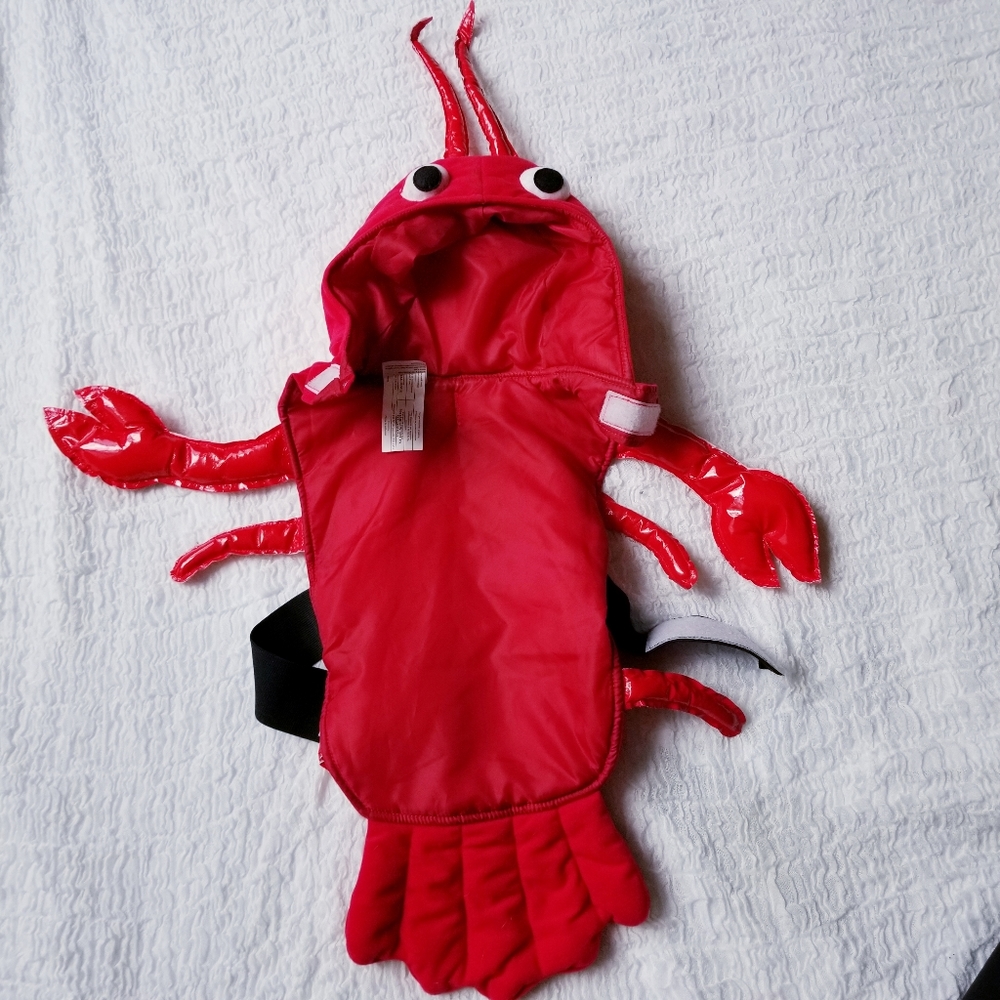 Lobster Halloween Costume Dog Michael's